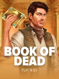 Book of Dead Port Testimonial - 96% RTP, Free Spins & Bonuses
